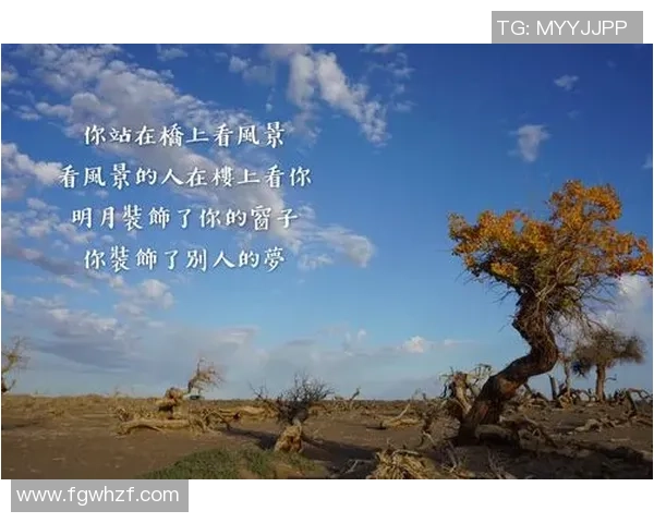 深度对话杨芳排球人生的追求与坚持探索