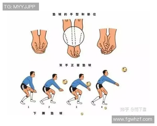 南京排球队防守策略全解析深度剖析排球技艺与团队协作的完美结合